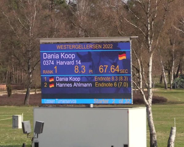 Reitturnier Westergellersen 2022