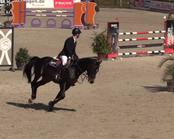 Reitturnier Westergellersen 2022