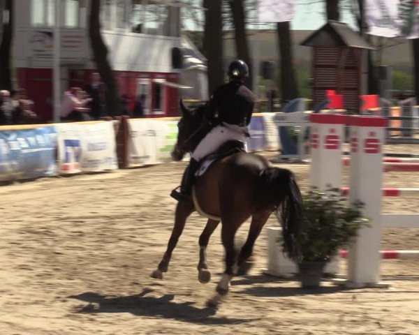 Lenklarer Reitertage 2022 (Werne)