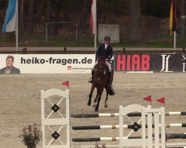 Reitturnier Westergellersen 2022