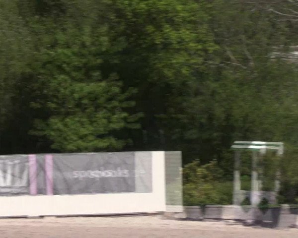 Reitturnier Monheim - Gut Blee 2022