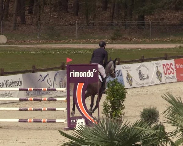 Reitturnier Westergellersen 2022