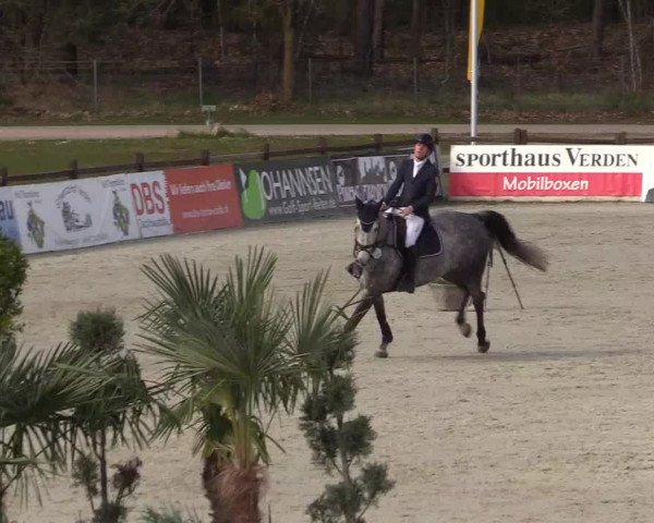 Reitturnier Westergellersen 2022