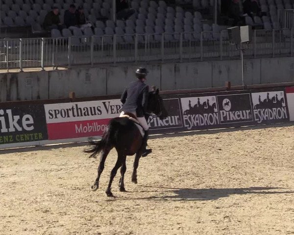 Reitturnier Westergellersen 2022