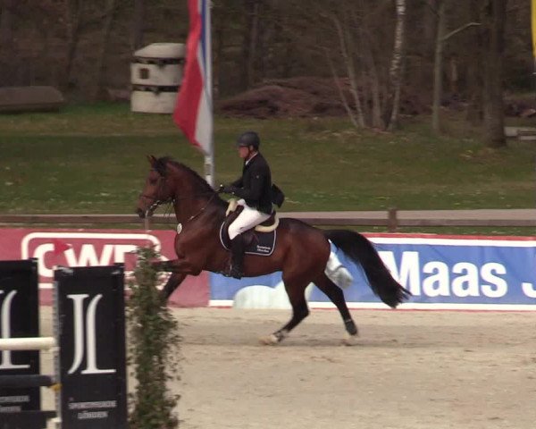 Reitturnier Westergellersen 2022