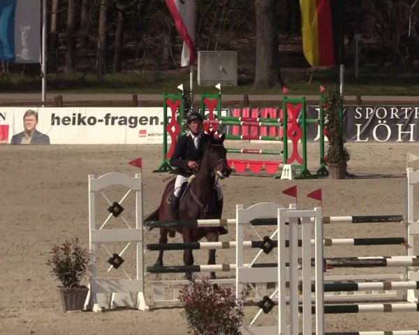 Reitturnier Westergellersen 2022
