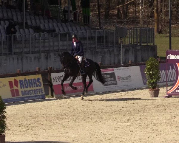 Reitturnier Westergellersen 2022