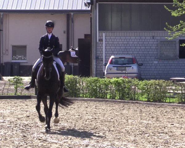 Reitturnier Olfen-Vinnum 2022