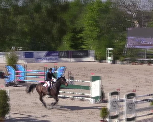 Reitturnier Monheim - Gut Blee 2022