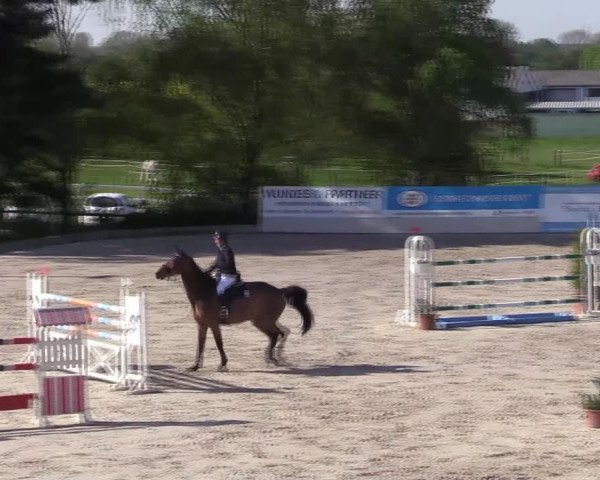 Reitturnier Monheim - Gut Blee 2022