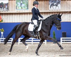 dressage horse Suana K (German Sport Horse, 2015, from Sezuan)