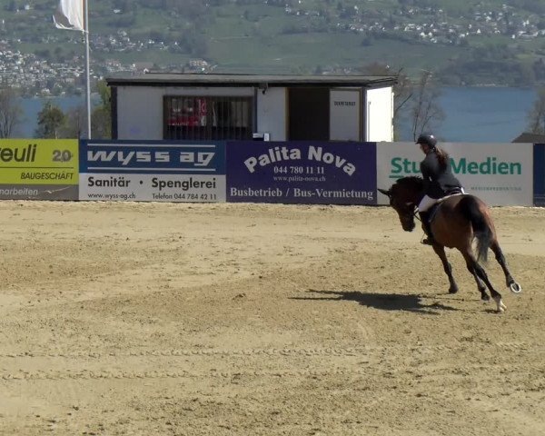 Reitturnier Wädenswil 2022