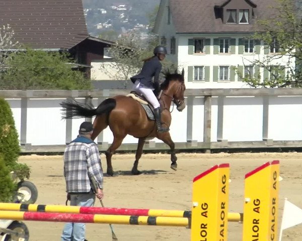 Reitturnier Wädenswil 2022