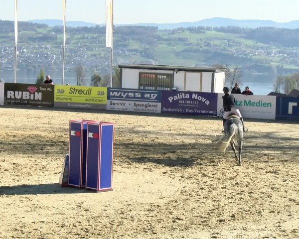 Reitturnier Wädenswil 2022