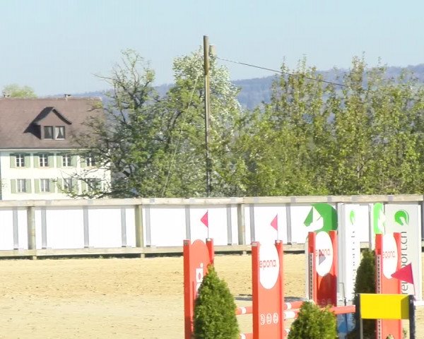 Reitturnier Wädenswil 2022