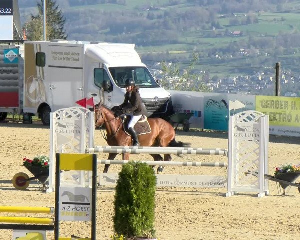 Reitturnier Wädenswil 2022