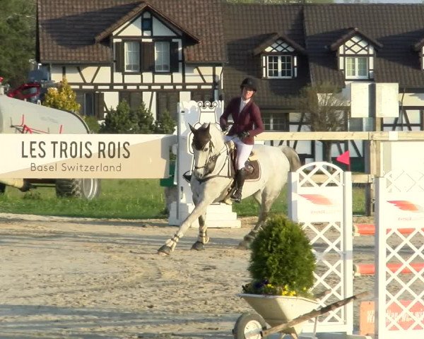 Reitturnier Wädenswil 2022