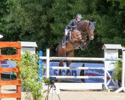 jumper Pokerface 40 (Hanoverian, 2007, from Perpignon)