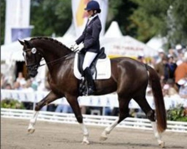 Dressurpferd Donna Charian (Württemberger, 2005, von Don Schufro)
