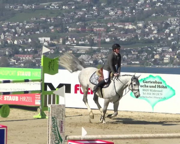 Reitturnier Wädenswil 2022