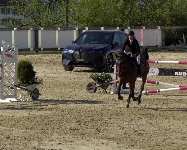 Reitturnier Wädenswil 2022