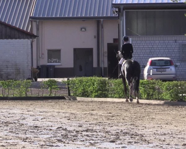 Reitturnier Olfen-Vinnum 2022