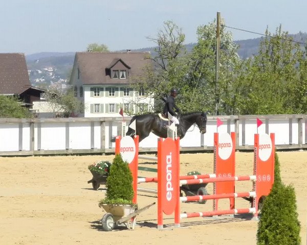 Reitturnier Wädenswil 2022