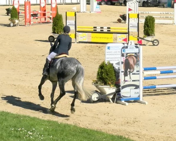 Reitturnier Wädenswil 2022