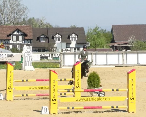 Reitturnier Wädenswil 2022