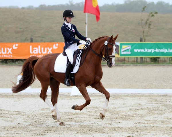 dressage horse Fionella (Hanoverian, 2000, from Federweisser)