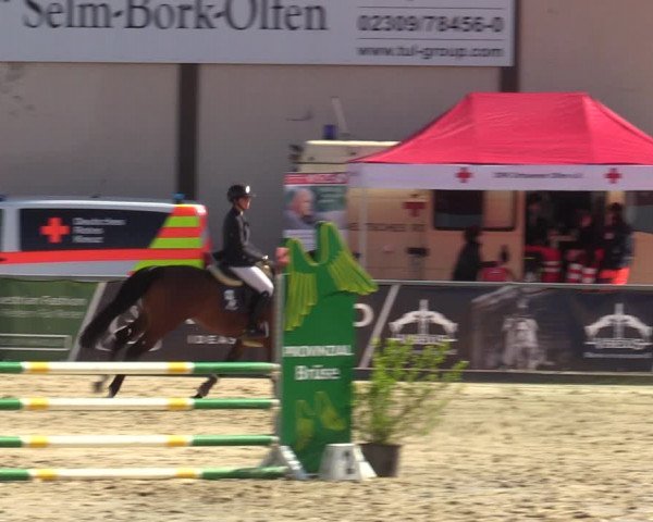 Reitturnier Olfen-Vinnum 2022