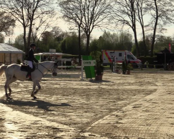 Reitturnier Münster-Handorf | Champs of Tomorrow 2022