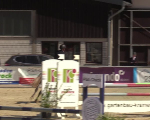 Reitturnier Olfen-Vinnum 2022