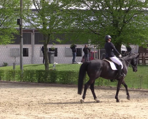 Reitturnier Olfen-Vinnum 2022