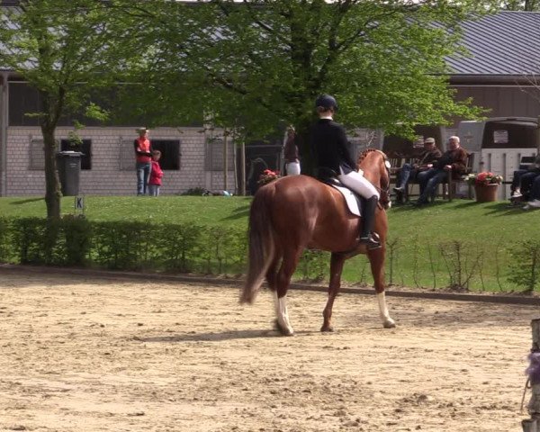 Reitturnier Olfen-Vinnum 2022
