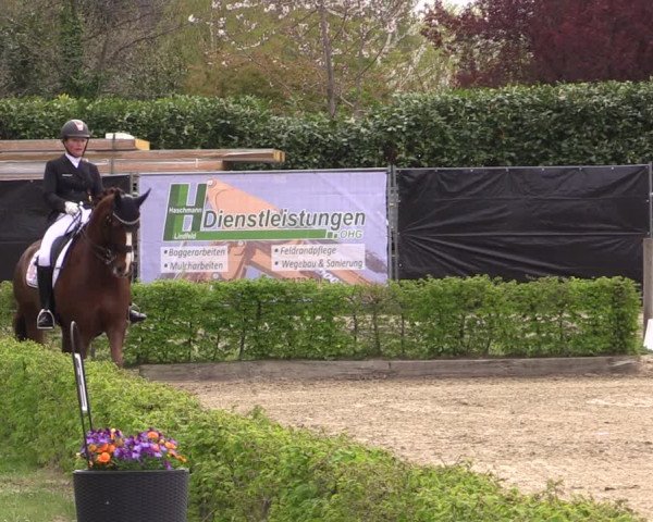 Reitturnier Olfen-Vinnum 2022