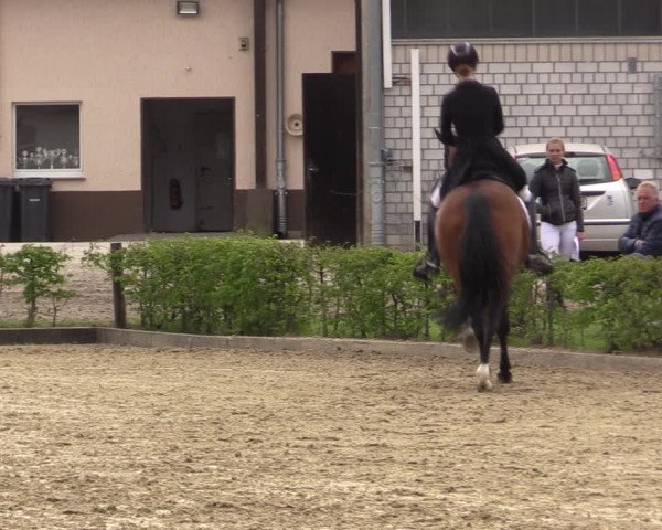 Reitturnier Olfen-Vinnum 2022