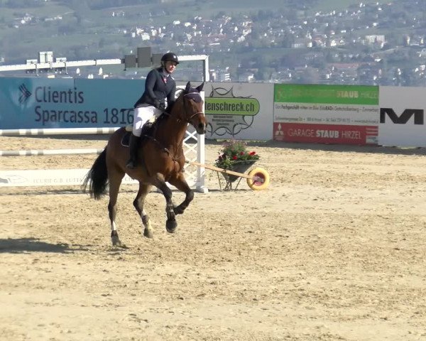 Reitturnier Wädenswil 2022