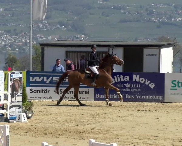 Reitturnier Wädenswil 2022