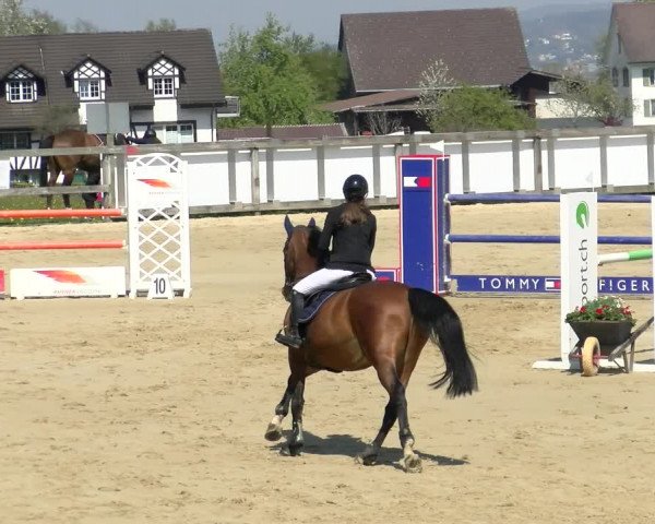 Reitturnier Wädenswil 2022