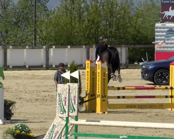 Reitturnier Wädenswil 2022