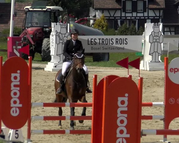 Reitturnier Wädenswil 2022