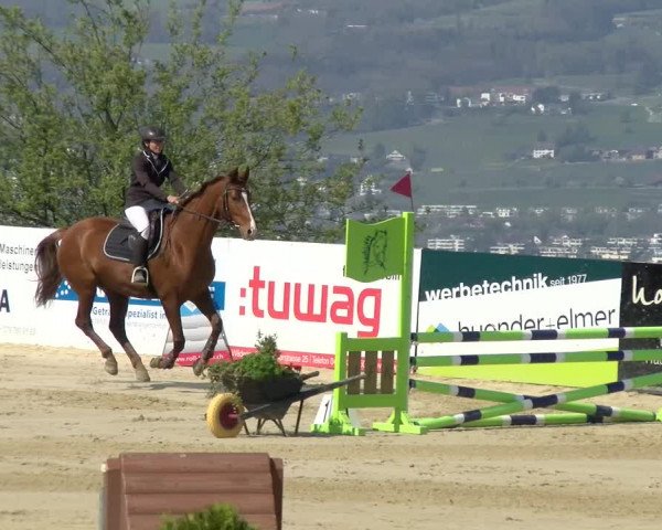 Reitturnier Wädenswil 2022