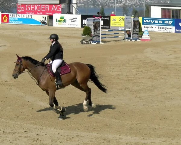 Reitturnier Wädenswil 2022