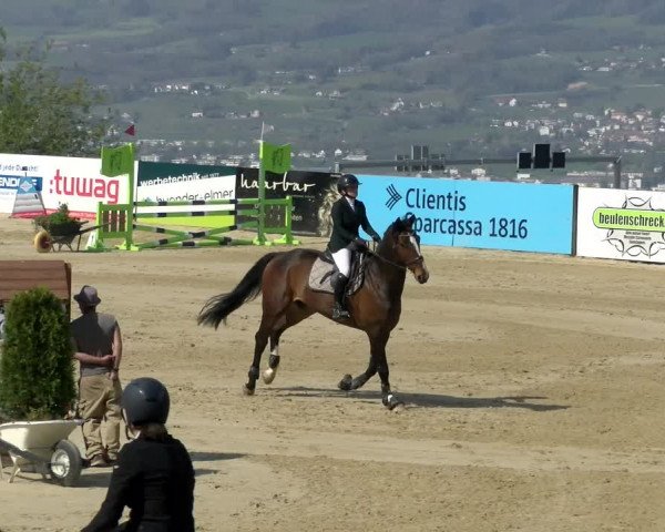 Reitturnier Wädenswil 2022