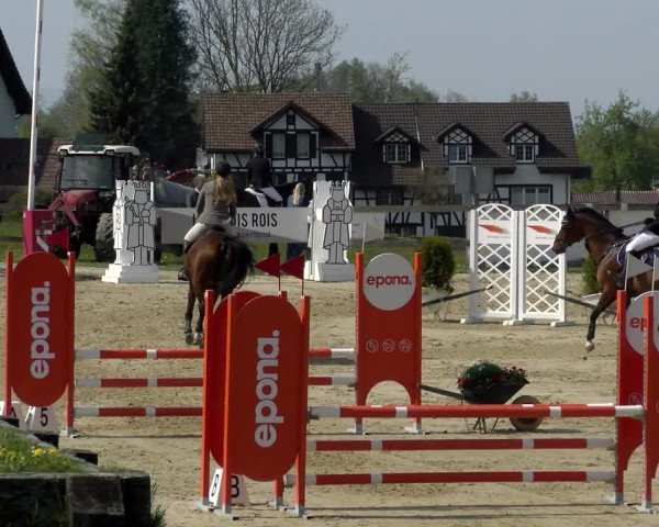 Reitturnier Wädenswil 2022
