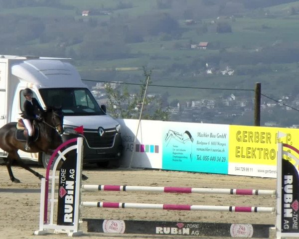 Reitturnier Wädenswil 2022