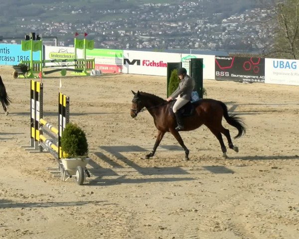 Reitturnier Wädenswil 2022