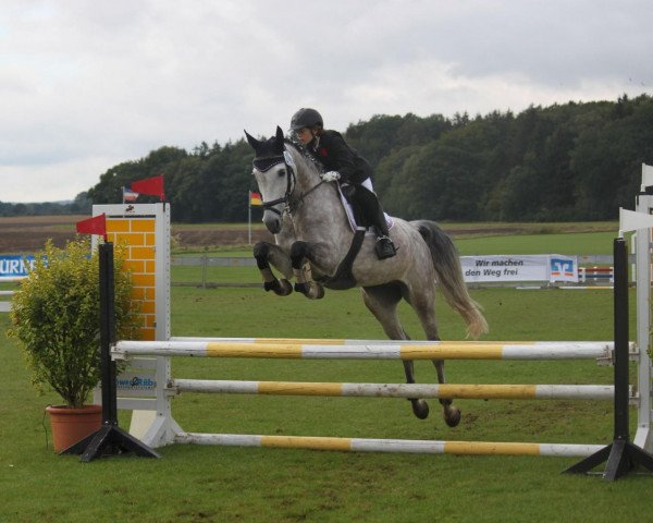 jumper Cleopatra 188 (Holsteiner, 2002, from Calvados II)