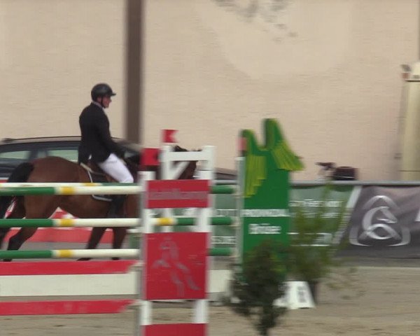 Reitturnier Olfen-Vinnum 2022